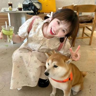 盛装杀戮