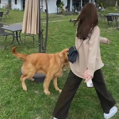 地狱少女